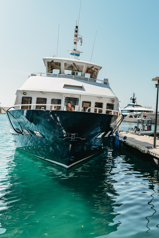 Nice: 1-Hour Sightseeing Cruise to Villefranche Bay - From Nice Port to Villefranche Bay: What the 60 Minutes Really Covers
