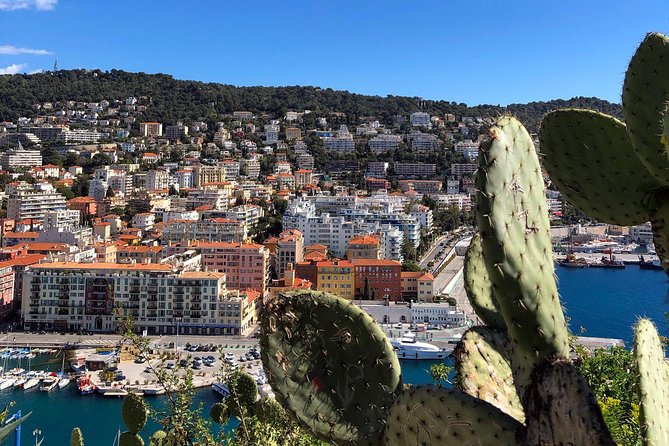 Nice City Best Highlights E-bike Tour - Port Lympia: marina beauty and clear water