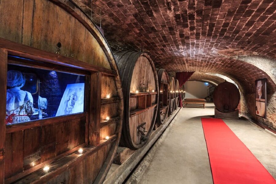 Nice: Full-Day Côtes de Provence Wine Tour - The morning wineries: tastings with real context