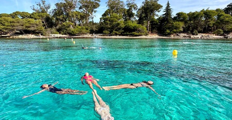Nice: Lerins Islands Boat Tour with Snorkeling - Key things that make this tour work