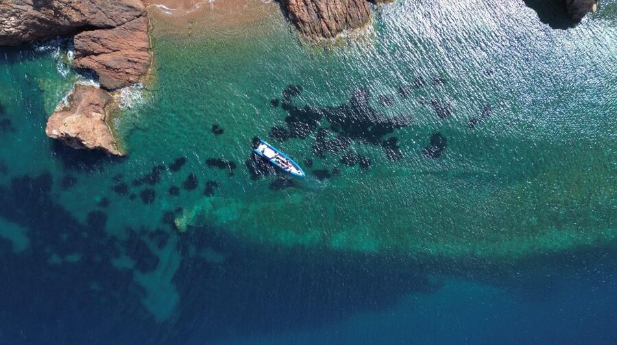 Nice: Lerins Islands Boat Tour with Snorkeling - Sainte-Marguerite Island: your 1.5 hours, your pace