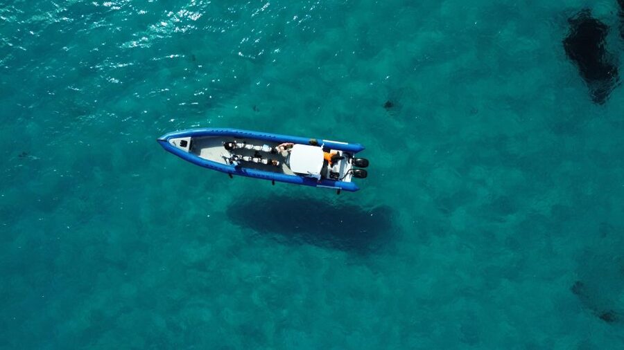 Nice: Lerins Islands Boat Tour with Snorkeling - Snorkeling at the underwater ecomuseum: practical gear and real guided time
