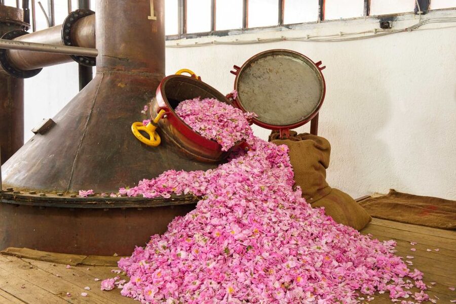 Nice: Medieval Villages Full-Day Guided Trip - Tourrettes-sur-Loup: violet flower identity, ramparts, and a sweet break