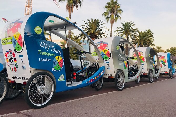 Nice: private guided Tour by electric taxi bike - Guides Make or Break It: What to Look For (and Who to Ask For)