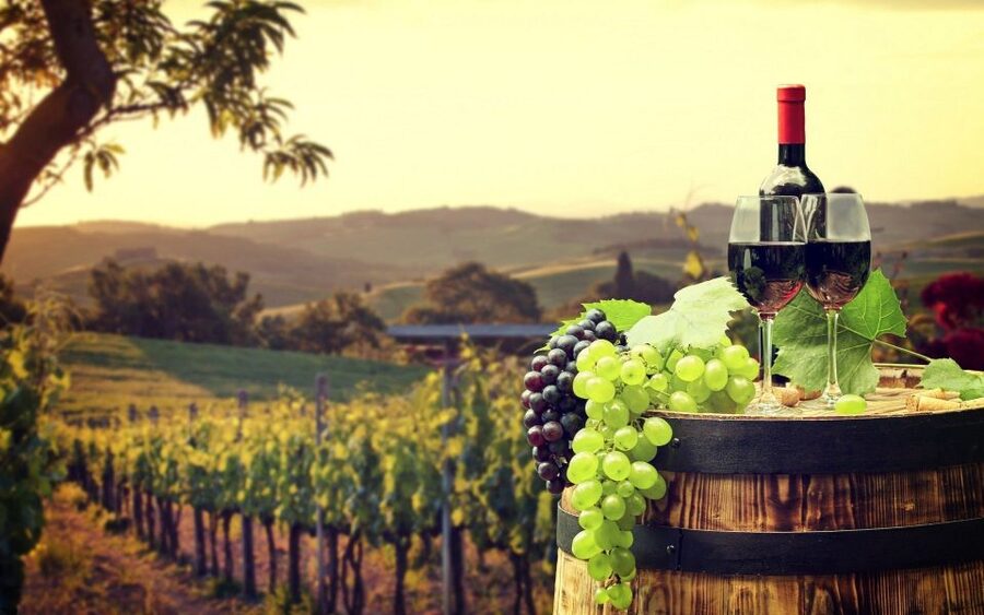 Nice: Provence Village Tour with Wine and Produce Tasting - Key Things That Make This Tour Worth Your Time