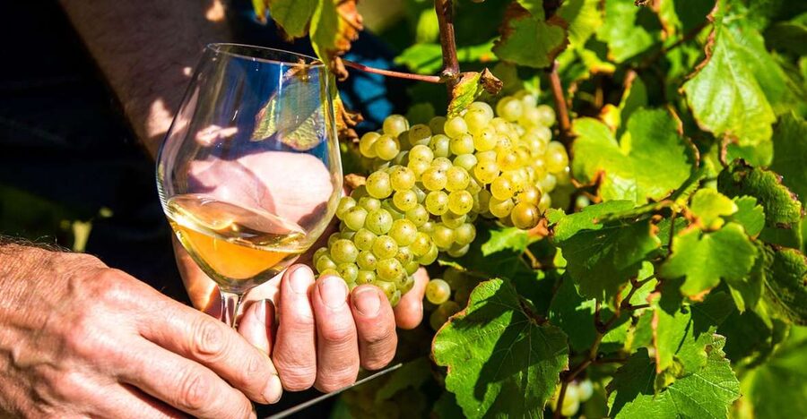 Nice: Provence Village Tour with Wine and Produce Tasting - Starting in Nice: An Air-Conditioned Van Makes the Day Work