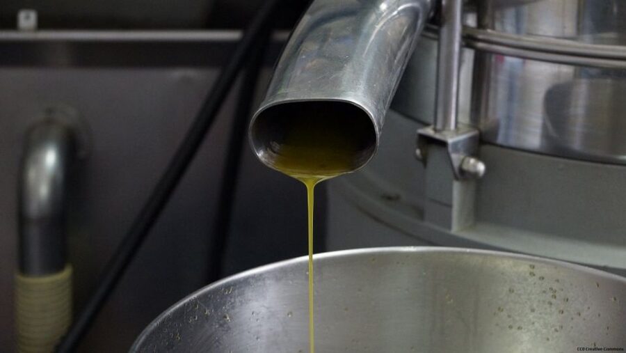 Nice: Provence Village Tour with Wine and Produce Tasting - Opio’s Olive Country and a Working 15th-Century Oil Mill