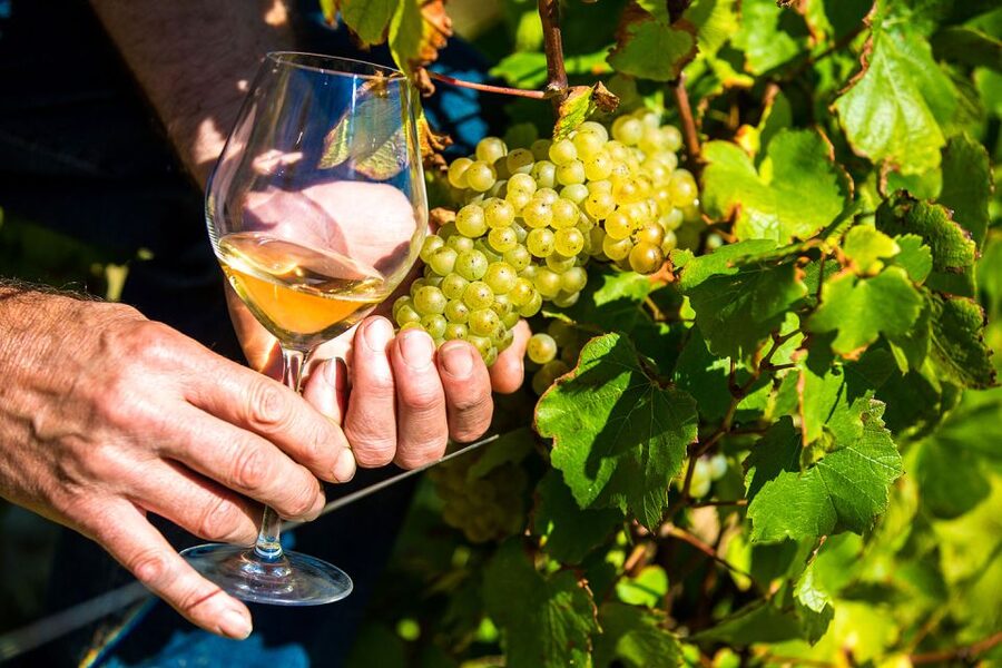 Nice: Provence Village Tour with Wine and Produce Tasting - Biot Glassmaking and the Morning Craft-Spot Moment