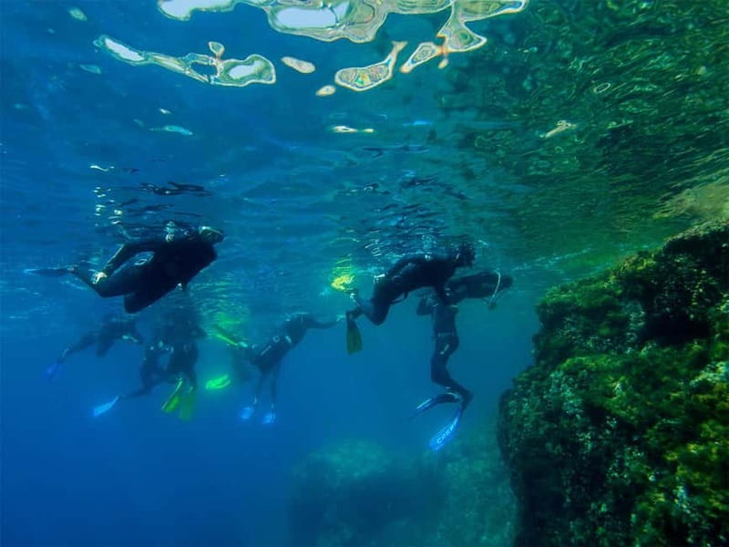 Nice: Snorkeling Speedboat Tour in Villefranche Bay - Key things to know before you go