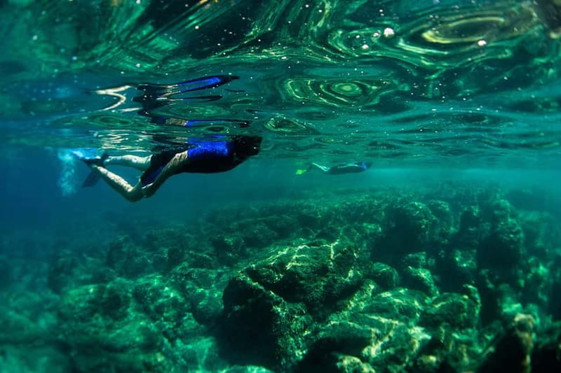 Nice: Snorkeling Speedboat Tour in Villefranche Bay - Where You Start: Chango’s Place on the Quai des Docks