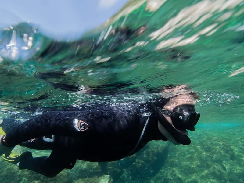 Nice: Snorkeling Speedboat Tour in Villefranche Bay - The One-Hour Snorkel in Villefranche-sur-Mer: how the time is used