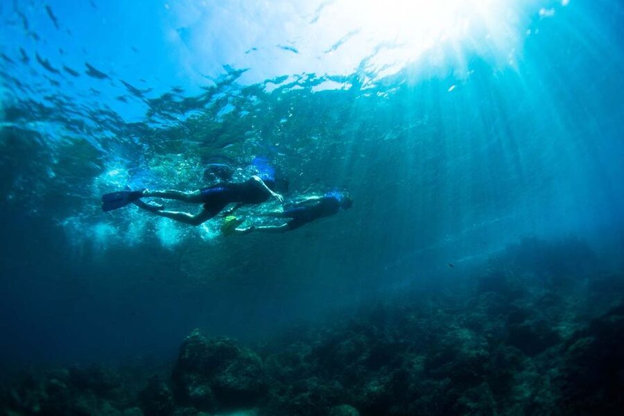 Nice: Snorkeling Speedboat Tour in Villefranche Bay - What You Can See Under the Surface: fish, octopus chances, and how guides boost your odds