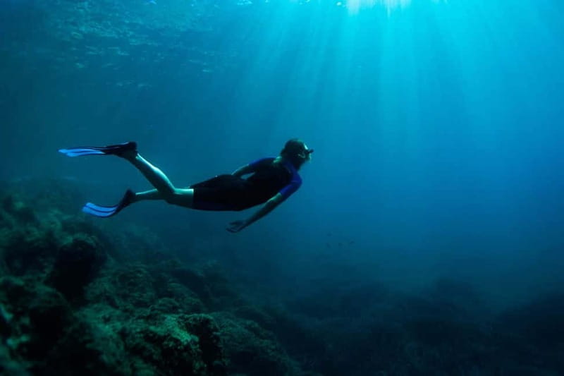 Nice: Snorkeling Speedboat Tour in Villefranche Bay - Price and Value for a $70 Trip: what you’re paying for (and what you’re not)