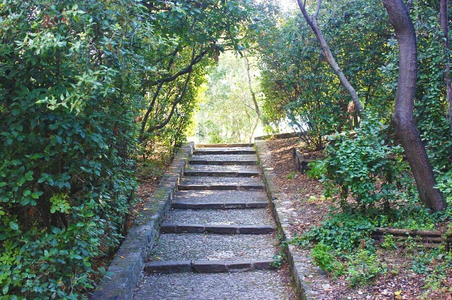 Nice: Theatrical History Tour - Secrets of the Castle Hill - Finishing at Colline du Château (and Why That Matters)
