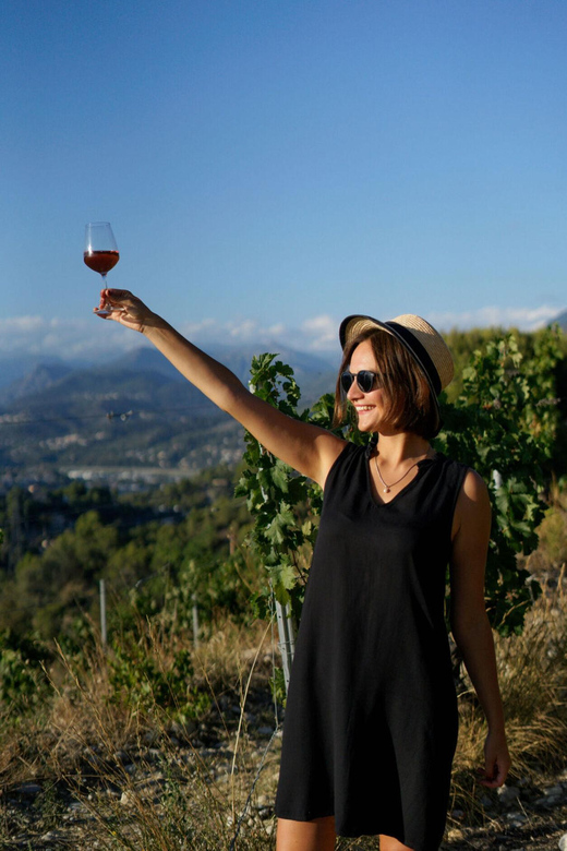 Nice: Vineyard Tour with Wine Tasting - From vine to production: seeing barrels and winemaking tools up close