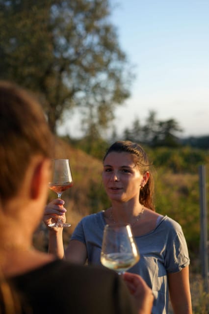 Nice: Vineyard Tour with Wine Tasting - The tasting table: 3 wines, guided in plain language