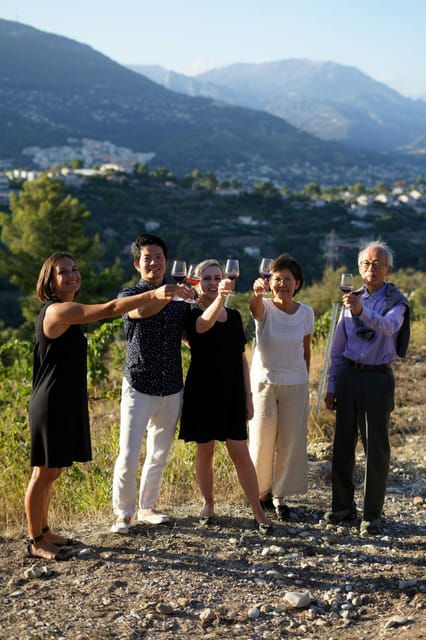 Nice: Vineyard Tour with Wine Tasting - Who this tour is best for (and who should skip)
