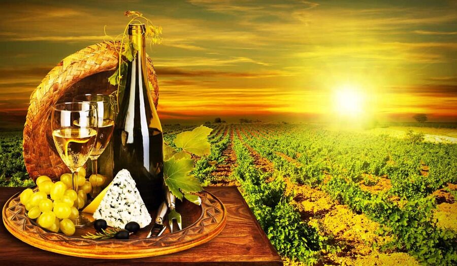 Organic Wine Tasting with Saint paul Half Day Tour from Nice - Key things to know before you go