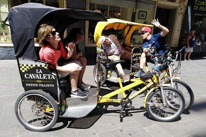 Original Nice city tour ( pedicab-vélo taxi) - Comfort and practical tips (so wind and timing don’t ruin your day)