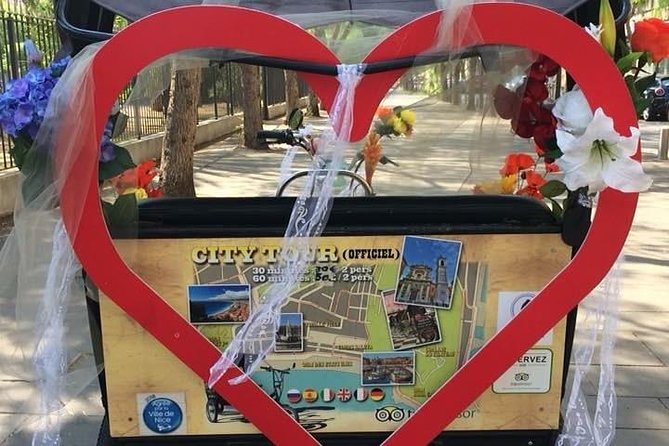 Original Nice city tour ( pedicab-vélo taxi) - Should you book this vélo-taxi tour?