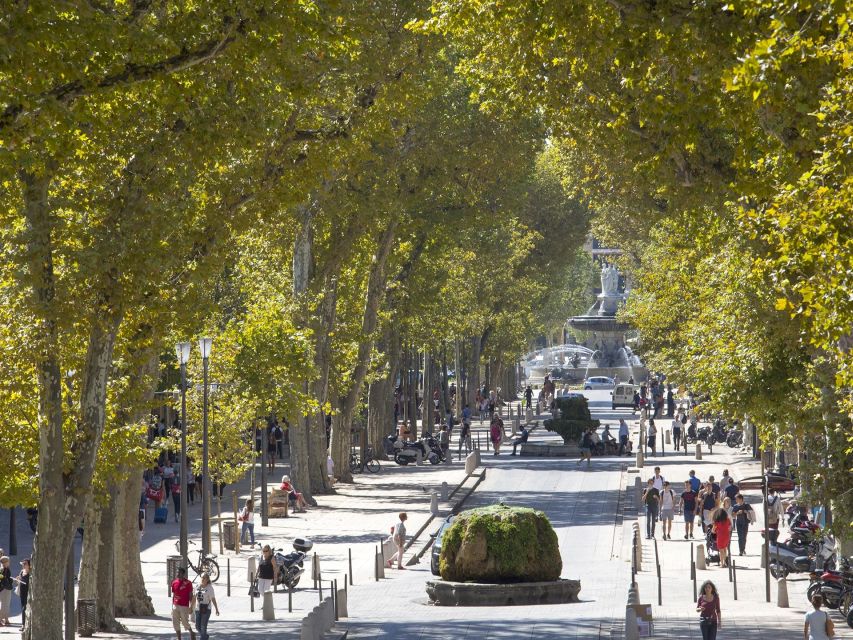 Private Day Trip to Provence and Lavender Fields - Key moments that make this Provence lavender day trip work