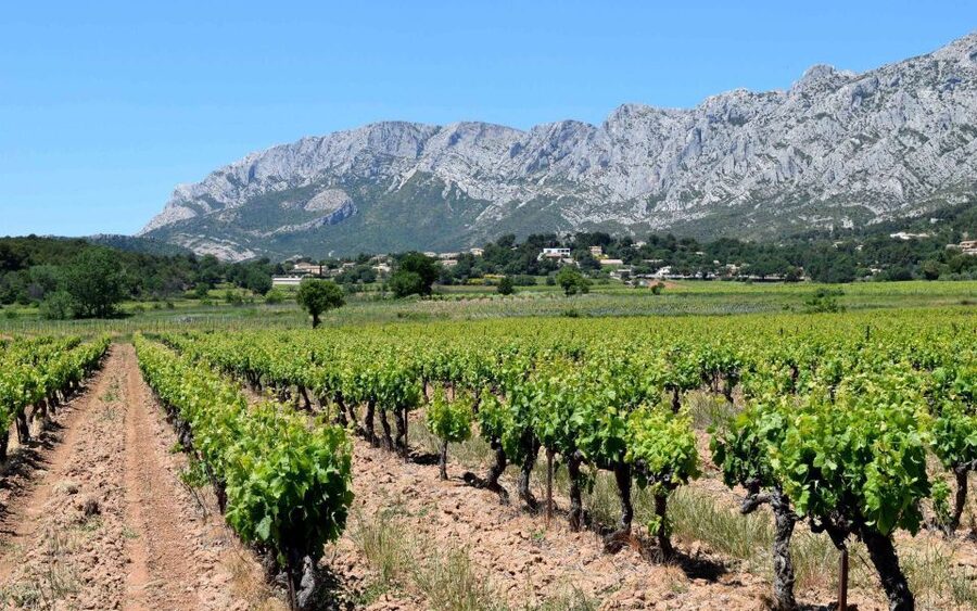 Private Day Trip to Provence and Lavender Fields - Price and value: when $1,285 per group makes sense