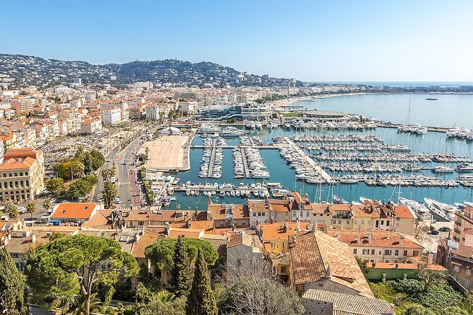 Private tour: Monaco, Monte-Carlo, Cannes, St Paul de Vence & Eze - Palais Princier plus Monte-Carlo views: where royalty meets the cliff