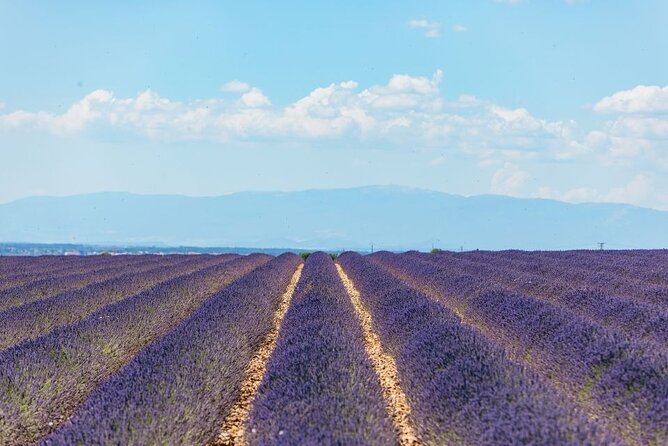 Private Tour of Gorges of Verdon and Fields of Lavender in Nice - Castellane Stop: Turquoise Verdon Canyon Views with Room to Breathe