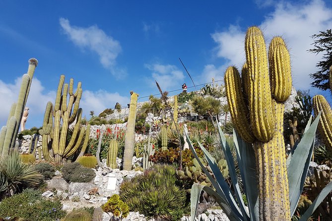 Private Tour of Nice, Monaco & Eze with a local guide - Monaco old town stops, palace-area highlights, and the F1 circuit drive