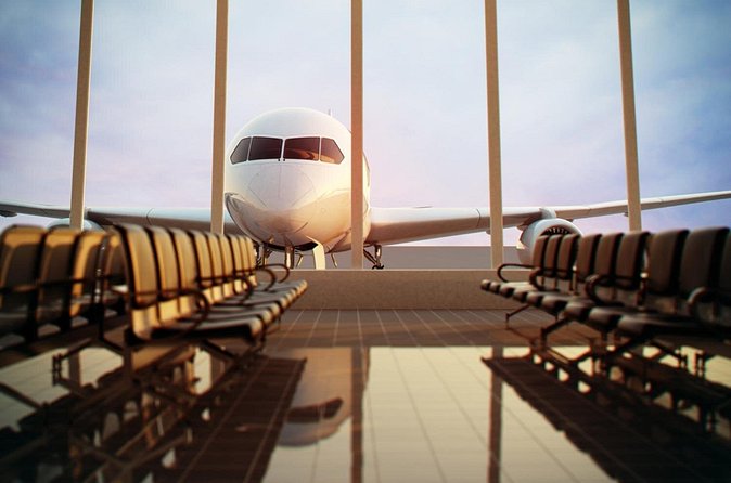 Private transfer from and to Cannes - Inside the Transfer: What the Driver Handles for You