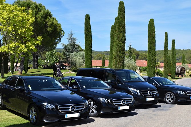 Private Transfer Nice Airport (NCE) to Monaco - Key Points at a Glance