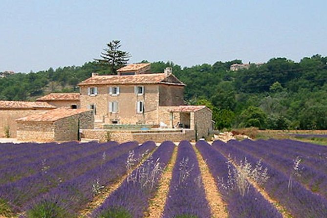 Provence and Lavender - private & Guided Full Day Tour - Quick Hits