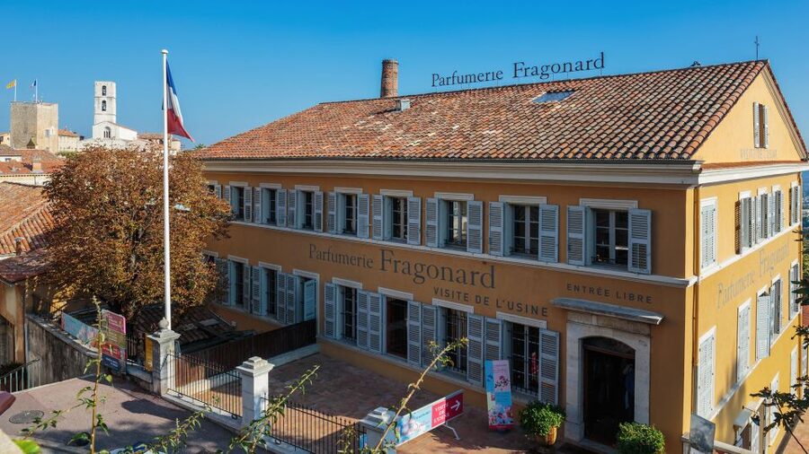 Provence Countryside & Medieval Villages Day Trip - Guide quality and language: English and beyond, from Wagner to Laurent
