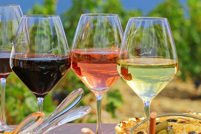 Provence Organic Wine Tasting Half Day Tour from Nice - Key highlights you’ll feel the moment you book