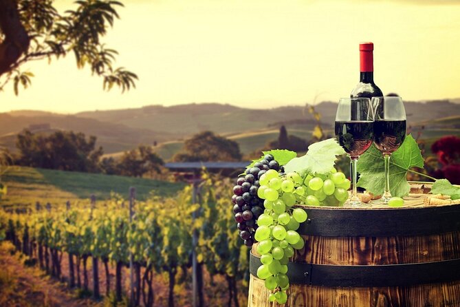 Provence Organic Wine Tasting Half Day Tour from Nice - Why this half-day Provence wine trip makes sense from Nice