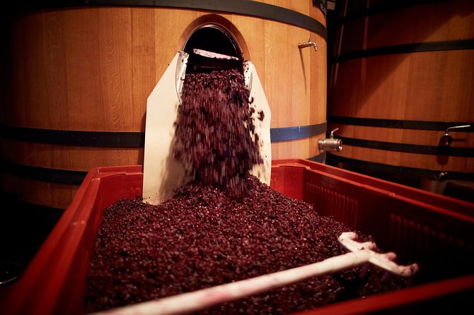 Provence Private Full Day Wine Tour with Wine Tasting - Why a Private Provence Wine Day from Nice Makes Sense