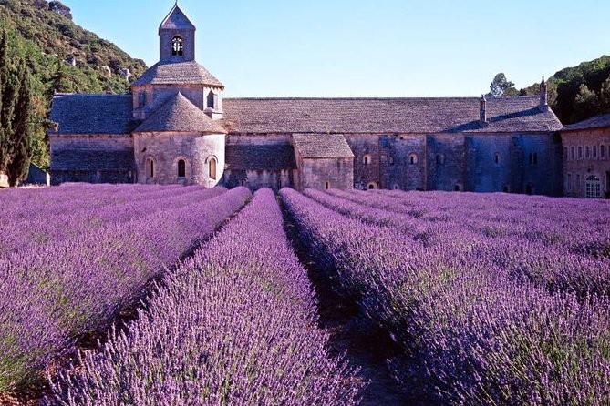 Provence Sea & Countryside Full-Day Private Tour - Antibes: Musée Picasso, old town streets, and yachts at the water