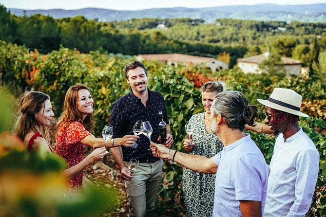 Provence Wine Tour - Private Day Tour from Nice - Value and Price: Why $578.08 Might Make Sense (or Not)