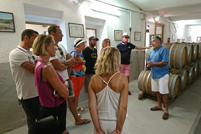 Provence Wine Tour - Private Day Tour from Nice - Stop 3: Château Saint-Esprit Under Olive Trees and Tradition