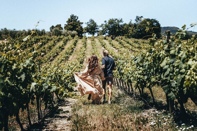 Provence Wine Tour - Small Group Tour from Nice - Photo Time in the Provençal Countryside (and How to Use It)