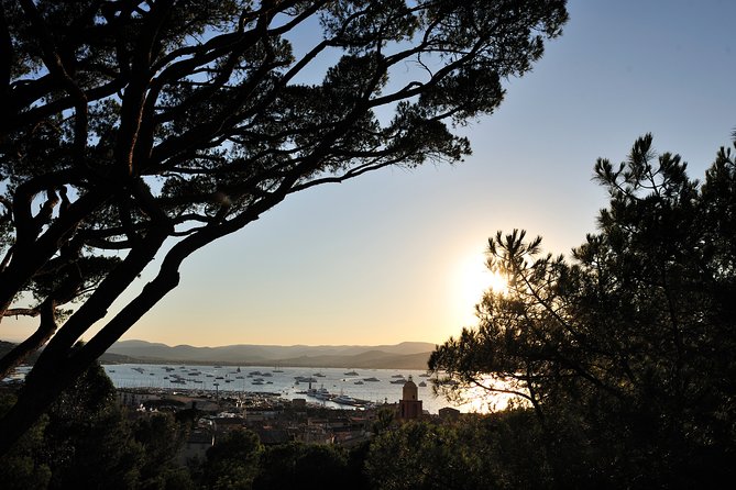 Saint-Tropez and Port Grimaud Day from Nice Small-Group Tour - Price and value: what $174 buys you (and what it doesn’t)