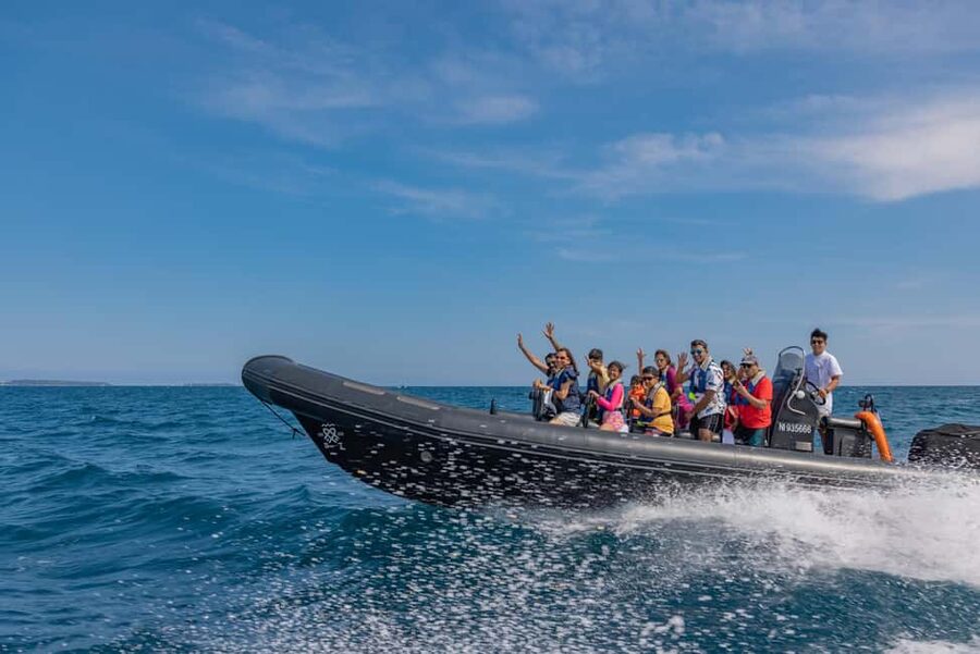 Sea excursion - Monaco from Nice - Where you go along the way: Villefranche, Cap-Ferrat, Beaulieu