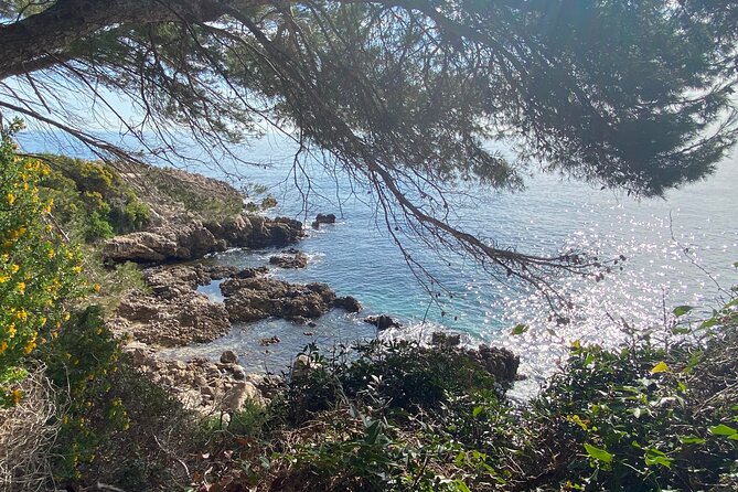 Small Group Full-Day Trip to French Riviera Highlights from Nice - Eze: The Medieval Village That Sits Like an Eagle’s Nest