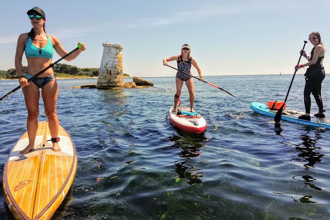 Stand-Up Paddle & Snorkeling with Local Guide near Nice - Key highlights you’ll feel fast