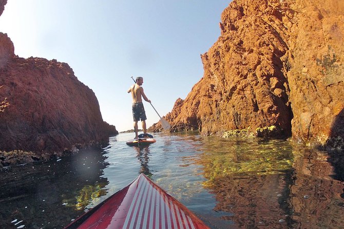 Stand-Up Paddle & Snorkeling with Local Guide near Nice - Why Villefranche Bay feels quieter than the usual Nice scene