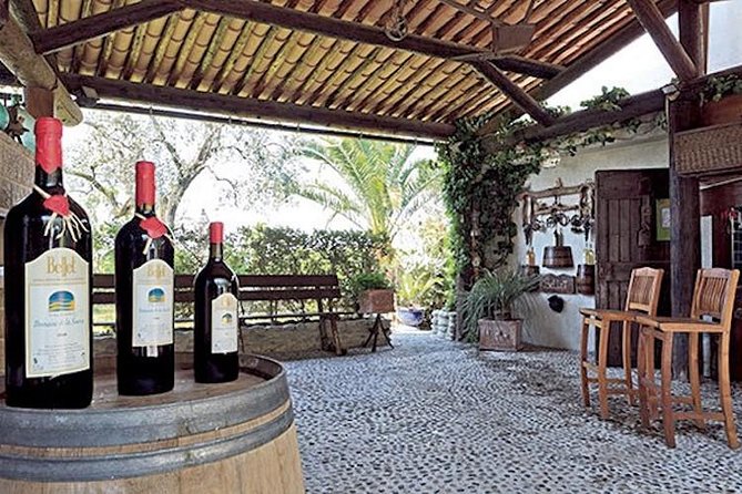 the Bellet wine tasting - Bellet wine: the AOC that’s literally inside the city