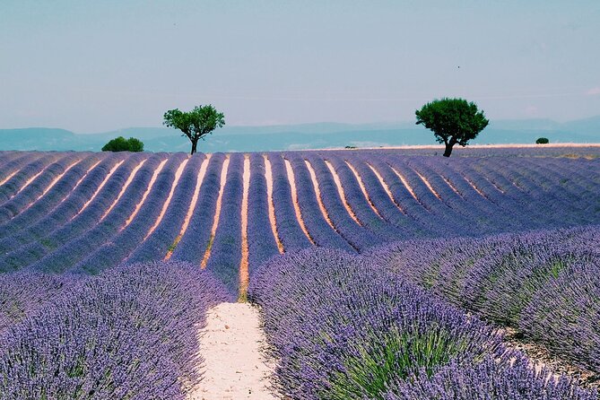 Verdon Gorge: The Grand canyon of Europe, Lake and Lavender - Lake Sainte-Croix time: when weather changes the plan