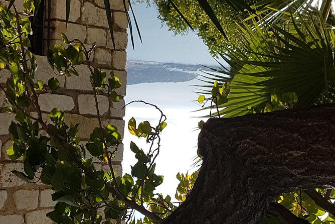 Villefranche Shore Excursion: 6 hrs Private Tour Eze and Monaco - Monaco without the frenzy: F1 track drive, then old streets