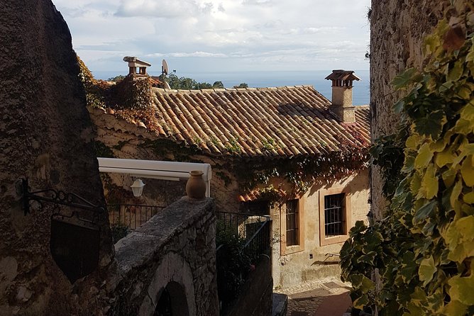 Villefranche Shore Excursion: 6 hrs Private Tour Eze and Monaco - Transportation comfort on a cruise day: minivan, water, Wi-Fi