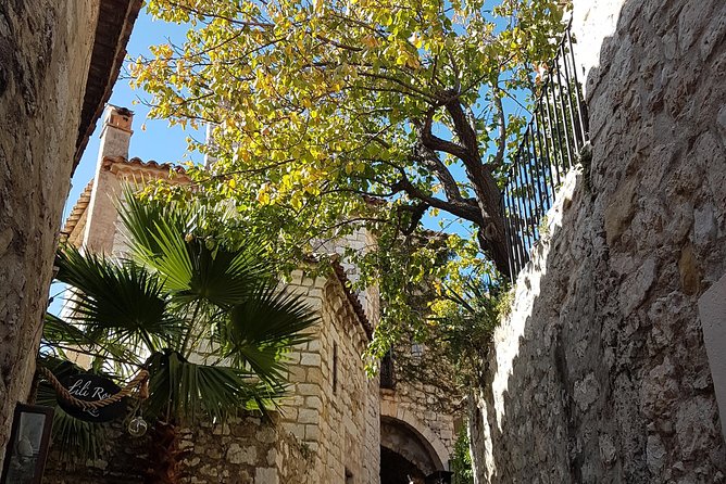 Villefranche Shore Excursion: 6 hrs Private Tour Eze and Monaco - How the guide makes or breaks the day